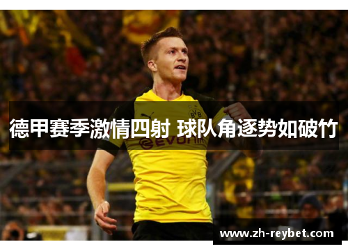 德甲赛季激情四射 球队角逐势如破竹